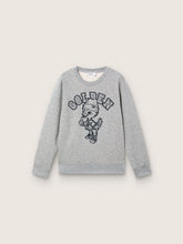 Journey crew neck sweatshirt for boys in gray melange cotton with mascot print