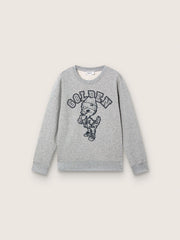 Journey crew neck sweatshirt for boys in gray melange cotton with mascot print