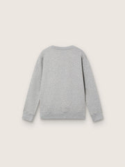 Journey crew neck sweatshirt for boys in gray melange cotton with mascot print