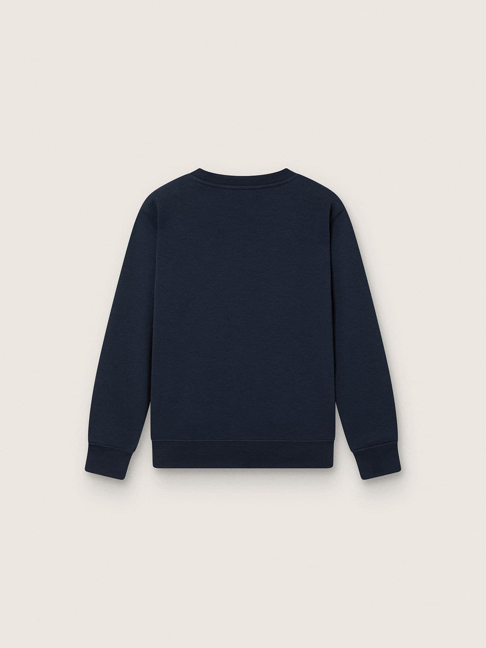 Journey crew neck sweatshirt for boys in navy blue cotton with mascot print